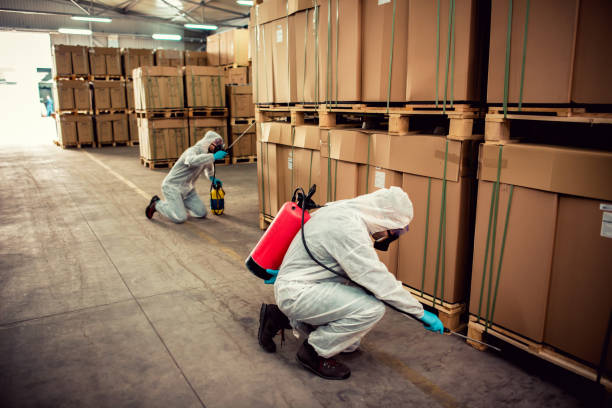 Best Flea Control Services  in Grosse Pointe Woods, MI