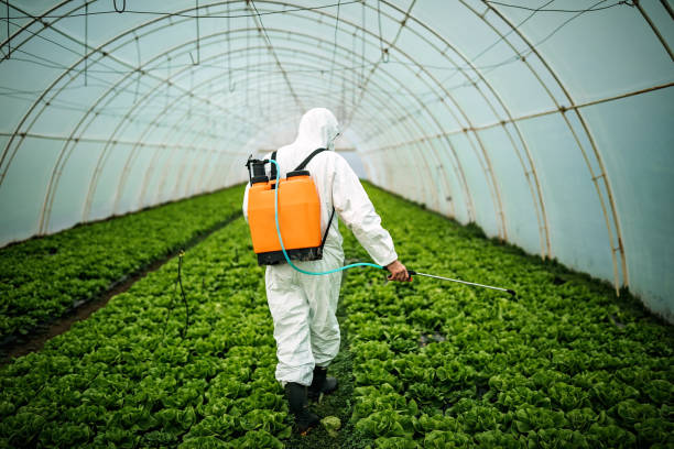Best Best Pest Control Companies  in Grosse Pointe Woods, MI