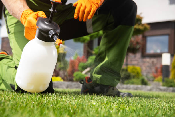 Best Spider Control Near Me  in Grosse Pointe Woods, MI