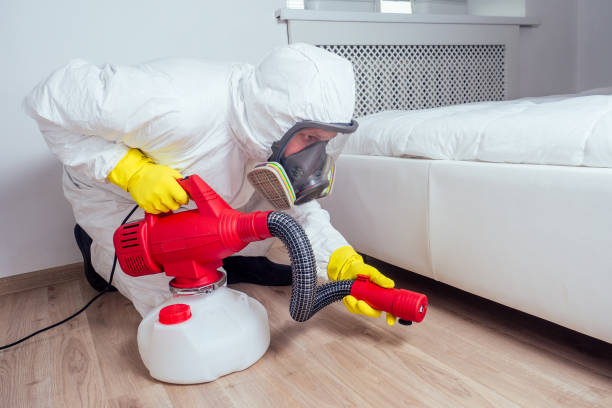 Best Mosquito Control Services  in Grosse Pointe Woods, MI