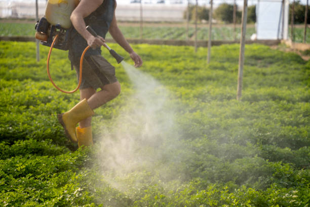 Professional Pest Control in Grosse Pointe Woods, MI