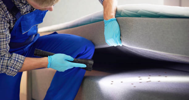 Best Commercial Pest Control Services  in Grosse Pointe Woods, MI