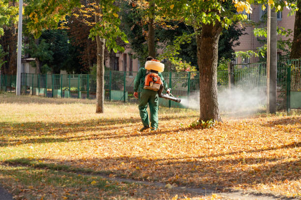 Best Pest Inspection Near Me  in Grosse Pointe Woods, MI