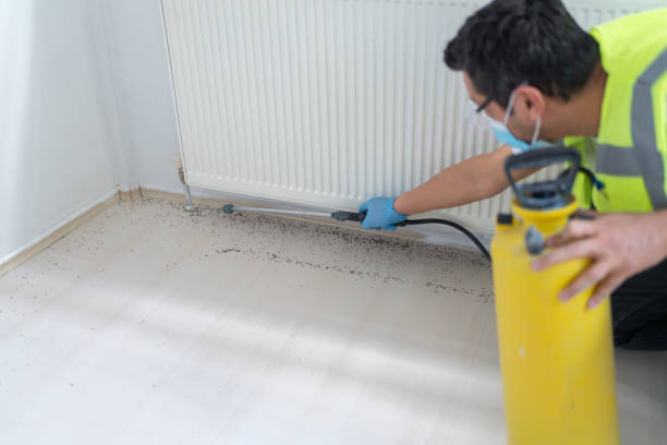 Best Rat Extermination Near Me  in Grosse Pointe Woods, MI