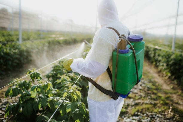 Best Exterminator Services  in Grosse Pointe Woods, MI